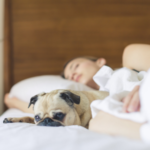 Top 5 Schlaftipps: Besser und erholsam schlafen